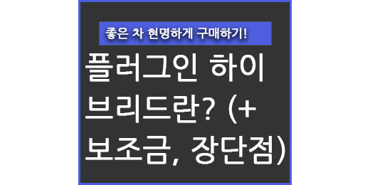 플러그인 하이브리드란? (+ 자동차 보조금, 장단점) - 야옹멍멍 경제 다이어리