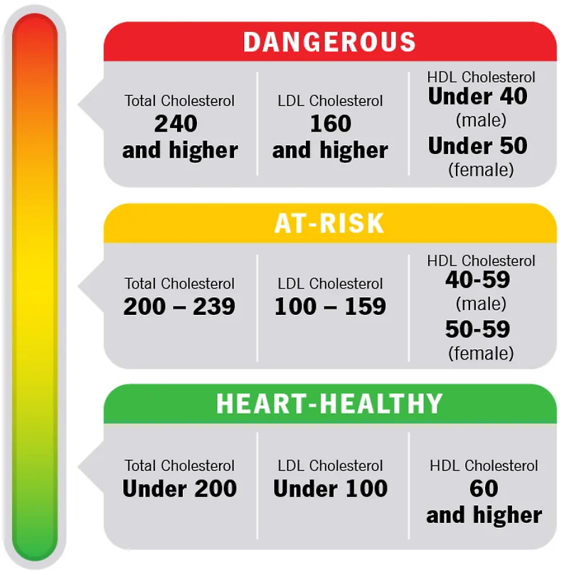총콜레스테롤 정상수치