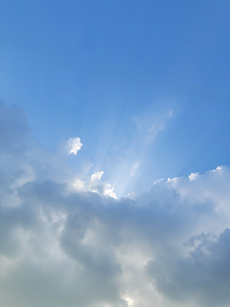 [HackerRank/MySQL] Weather Observation Station 7