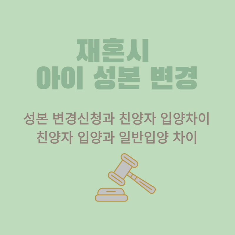 재혼자녀 성변경허가신청/성변경의 효력/입양자녀의 입양효과! 3