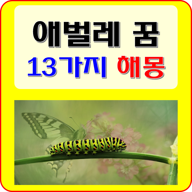 애벌레 꿈 해몽 풀이 (애벌레 잡는, 죽이는, 먹는, 많은 꿈)