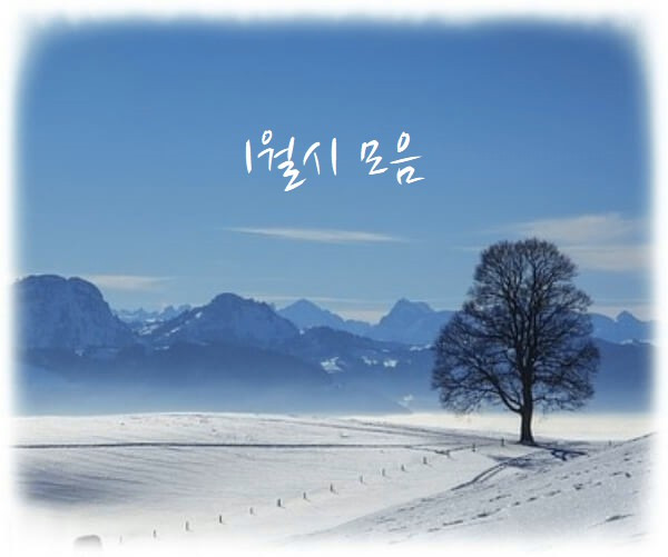 [겨울시] 1월의 시 모음