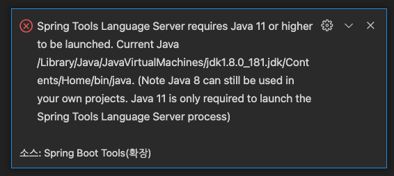 [Mac] vscode Language Support for Java(TM) by Red Hat 확장팩 에러