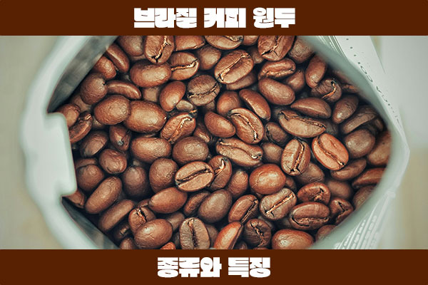 브라질 커피 원두 종류와 특징, 풍부한 맛과 균형잡힌 바디감