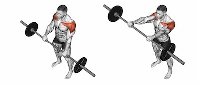 스탠딩 바벨 프론트 레이즈(Standing Barbell Front Raise) :: 열정적으로 행동하자!!