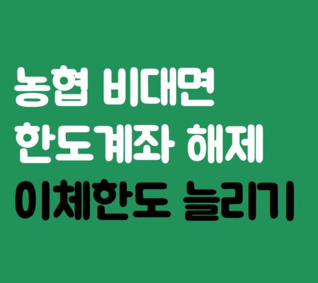 농협 한도제한계좌 해제 방법 : 빗썸 입출금시 필요 - 뉴스속보kr