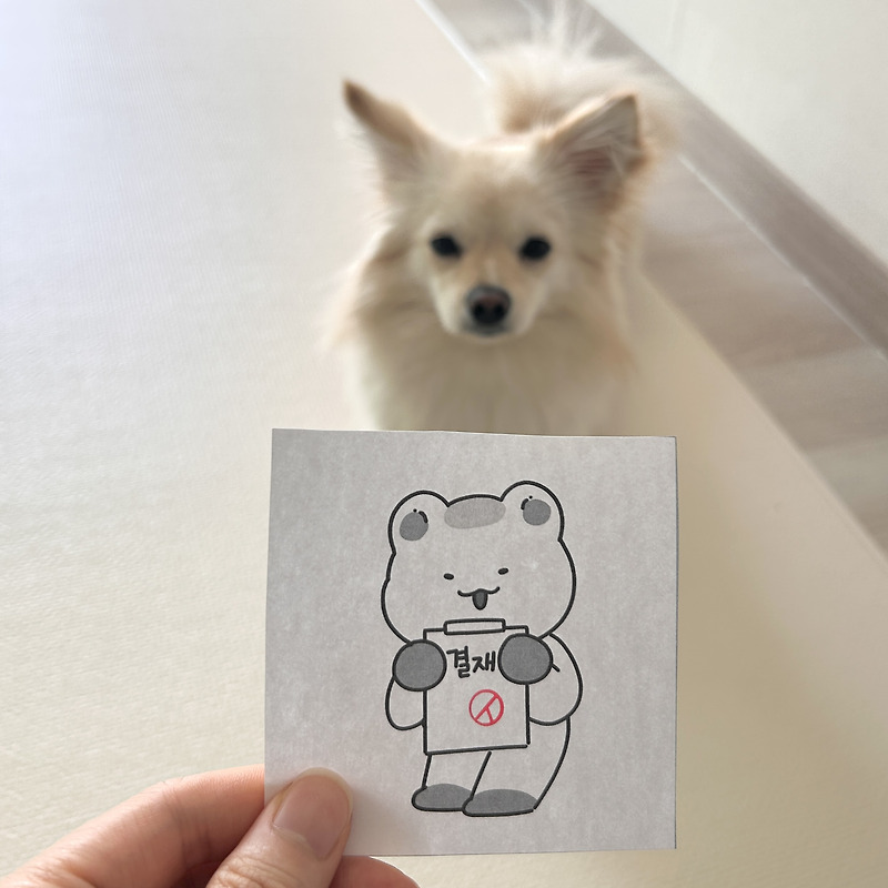 [2025년 선거일] 당일 투표 방법과 준비물, 실수 없이 끝내는 꿀팁! 투표 인증그림 나눔