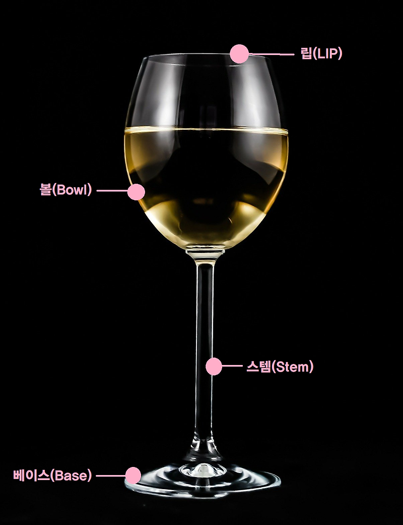 와인 기본매너 (와인잔 잡는법, 와인 받을때,와인 따르는법,와인 건배방법)