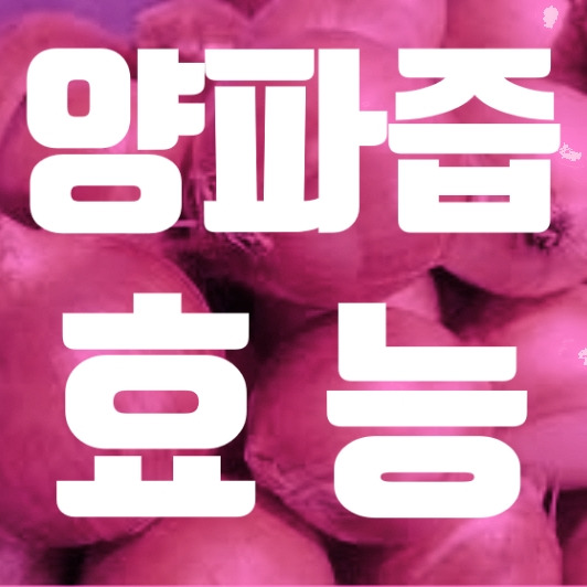 4대 성인병 당뇨에 좋은 음식 양파즙 효능