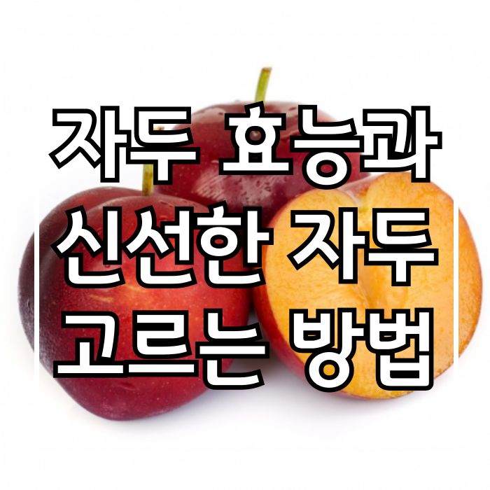 자두의 효능과 수확시기, 신선한 자두 고르는 방법!