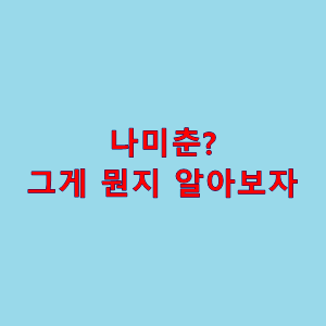 유튜브 채널]나미춘? 그게 뭐야? 나미춘 뜻!