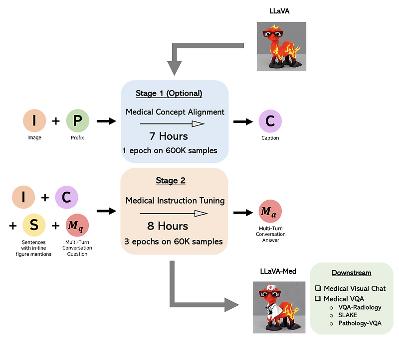 LLaVA-Med: Training a Large Language-and-Vision Assistant for ...