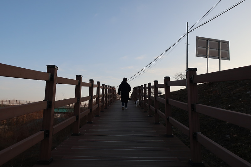 [C언어] 도서 관리 프로그램 | 도서 대출, 반납, 등록, 검색 | 구조체, 파일입출력