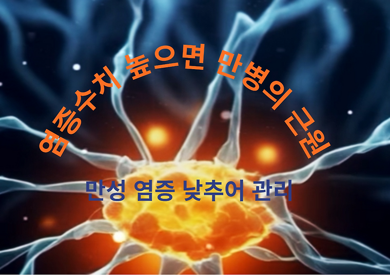 염증수치 높으면 만병의 근원, 만성 염증 낮추어 관리해야