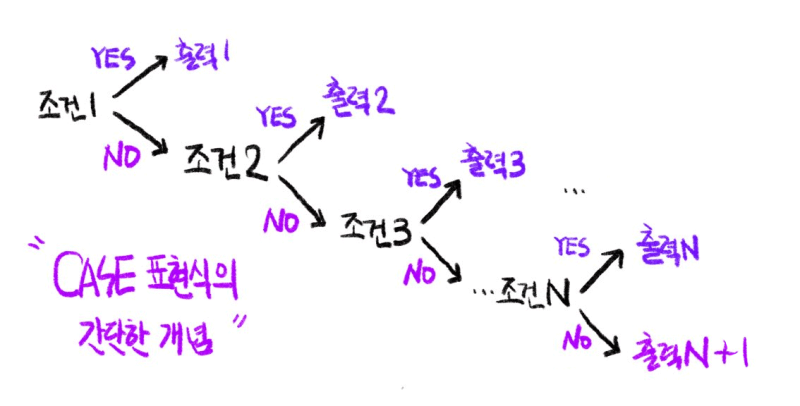 [Oracle] CASE 표현식 — 개발새발