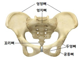 여자 오른쪽 골반 통증 10가지 원인과 대처