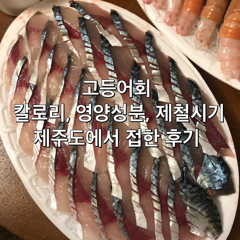 제주도 고등어회 제철, 가격, 영양성분, 칼로리, 맛후기