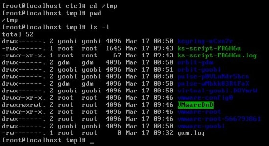 Linux Command 1 / ls 명령어 / cat 명령어 / touch 명령어 / cp 명령어 / mv 명령어 ...