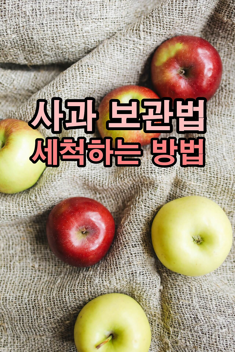 사과, 맛있게 오래 보관하는법, 사과 씻는법, 겨울철 사과보관법