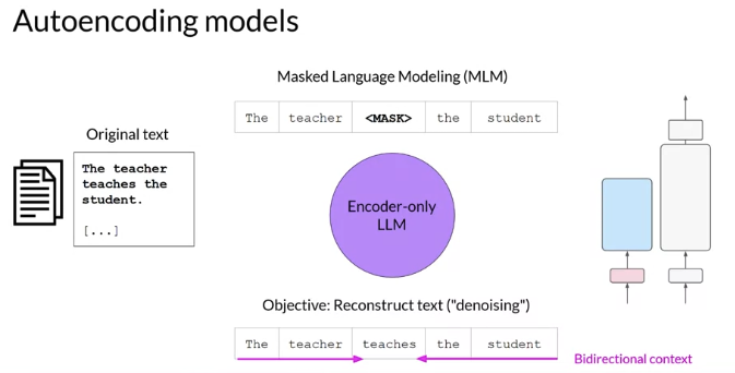 Encoder Decoder Language Models