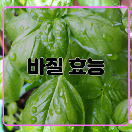 바질 효능 놀라운 건강 효과