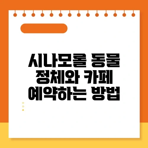 시나모롤 동물 정체와 카페 예약하는 방법