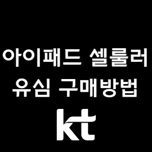 아이패드 셀룰러 KT 유심 구매 방법 후기