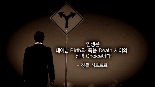 인생은 BCDD 다
