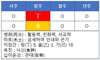 [사주명리] 정미일주(丁未日柱)