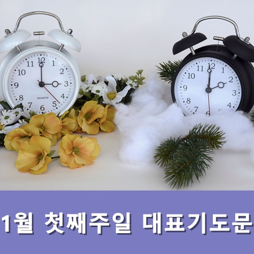 1월 첫째주일 대표기도문