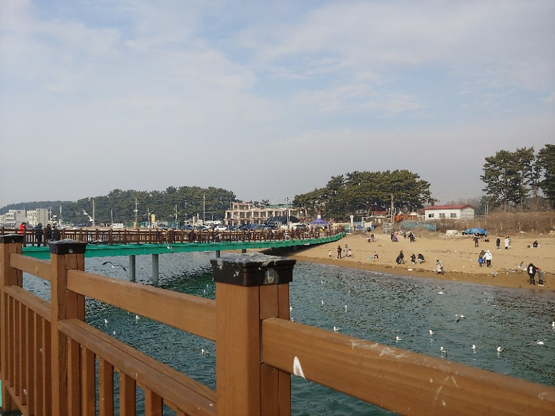 화성 가볼만한곳 갑갑함이 뻥뚫리는 궁평항 드라이브