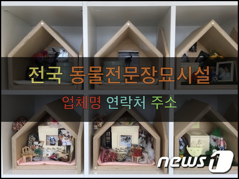 반려동물 장례 준비 가이드 – 장례 절차 및 비용 알아보기