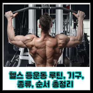 등운동 루틴, 기구, 종류, 순서 정리 (머신, 바벨, 덤벨)