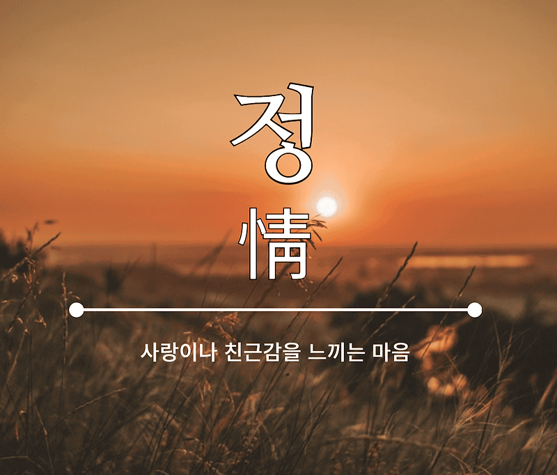 한국인의 따뜻한 마음, 정(情)의 문화 – 우리가 자랑스러운 이유 🇰🇷❤️