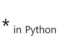 Asterisks (* **) in Python