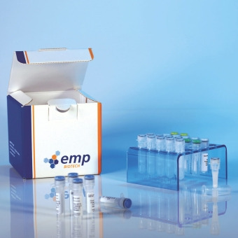 [Dyes & Labeling/Protein Labeling Kits/UV fluorescence] TurboTag 331 ...