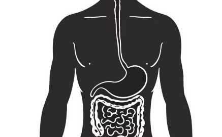 설사 멈추는법 72시간 내 증상 완화를 위한 7단계 전략