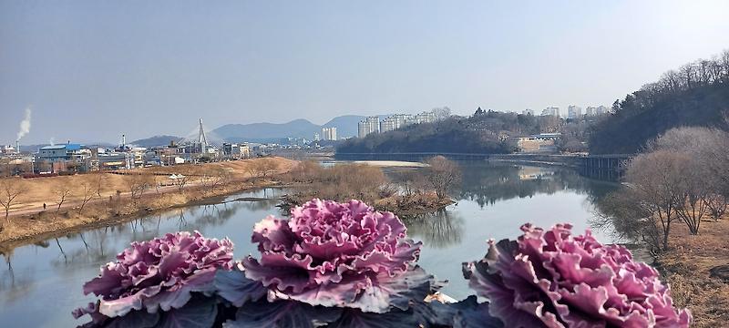 하대동 강 둑 길에서