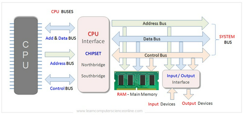 CPU & System BUS