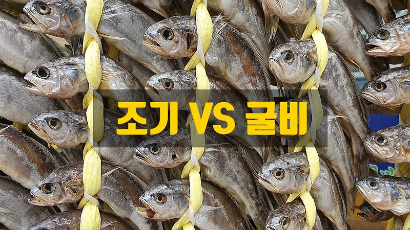 조기와 굴비의 특징 및 차이점