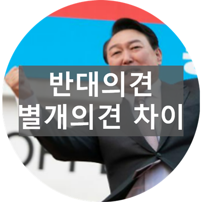 반대의견 별개의견 차이 (반대의견 뜻, 별개의견 뜻, 보충의견 뜻)