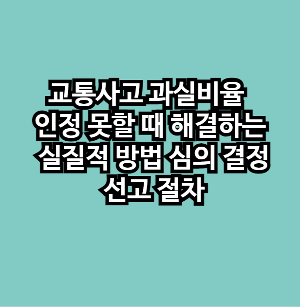 교통사고 과실비율 인정 못할 때, 해결하는 실질적 방법 심의 결정 선고 절차