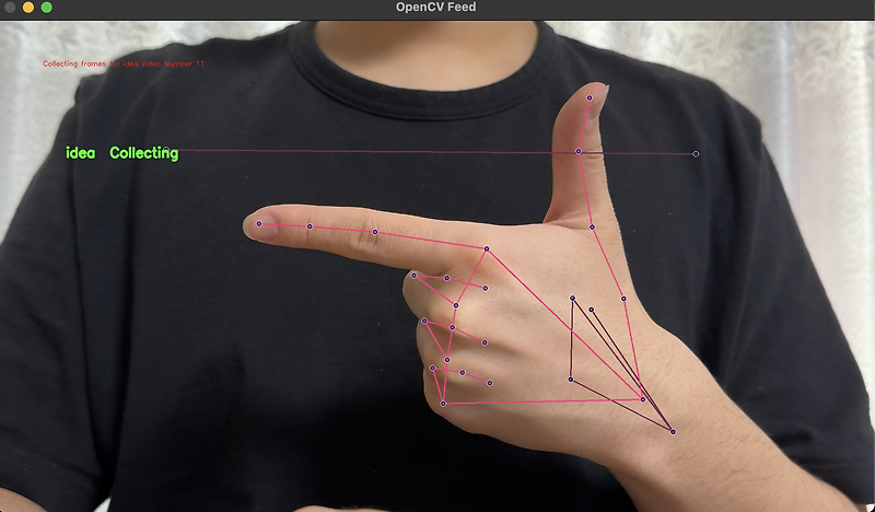 Google Solution Challenge 2024 - Sign Language to Natural Language