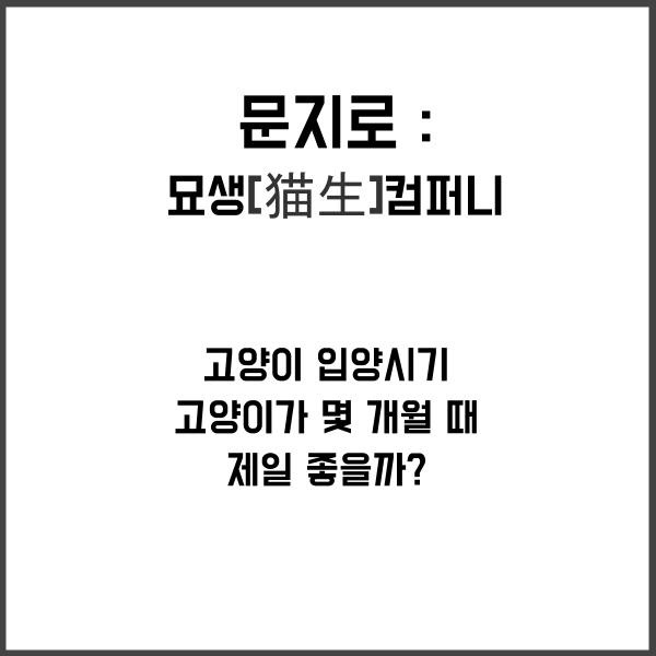 묘생컴퍼니 : 고양이 입양시기 고양이가 몇 개월 때 제일 좋을까?