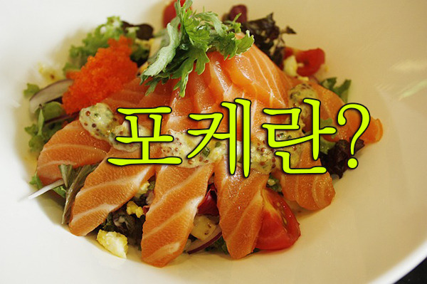 포케 뜻? 포케의 기원, 하와이 전통음식, 건강식단을 위한 포케샐러드, 회덮밥