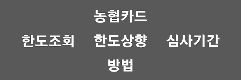 농협카드 한도상향, '이거'알고 3분내로 성공하자! 2022최신