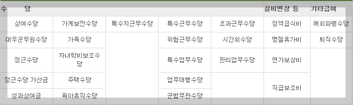2025년 군인 수당 총정리 정근수당, 가족수당, 명절휴가비 용어정리