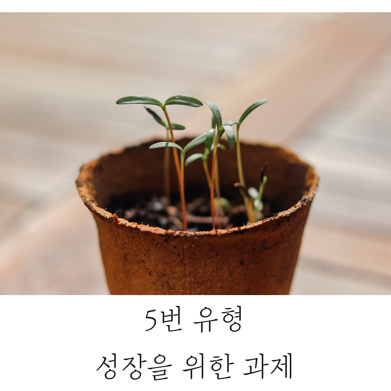 [에니어그램] 5번 유형: 성장을 위한 과제