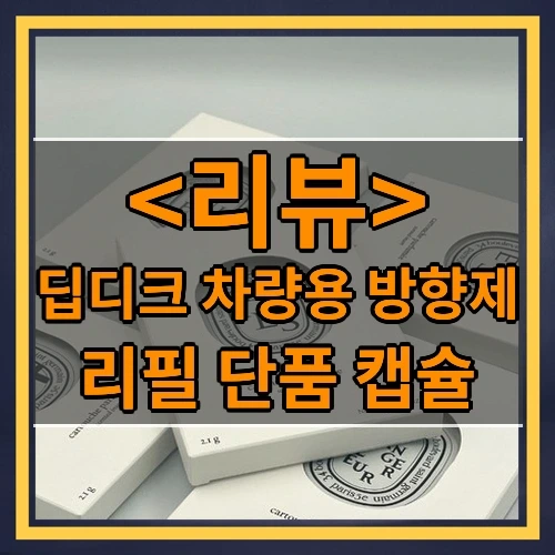 딥디크 차량용 방향제 추천
