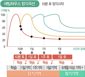 [공부법]에빙하우스의 망각곡선